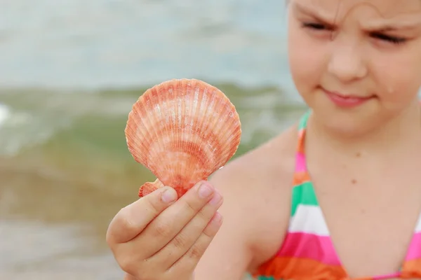 子供たちの手で貝殻 — ストック写真