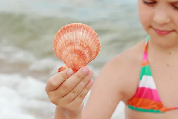 Seashell in kids hand — Stock Photo, Image
