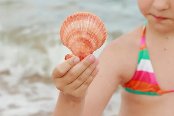 Seashell in kid hand — Stock Photo, Image