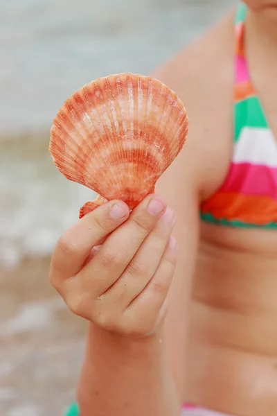 Okouzlující Holčička Plavkách Drží Mušle Pláži — Stock fotografie