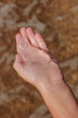 Aurelia aurita denizanası Palm'da açık yakın çekim