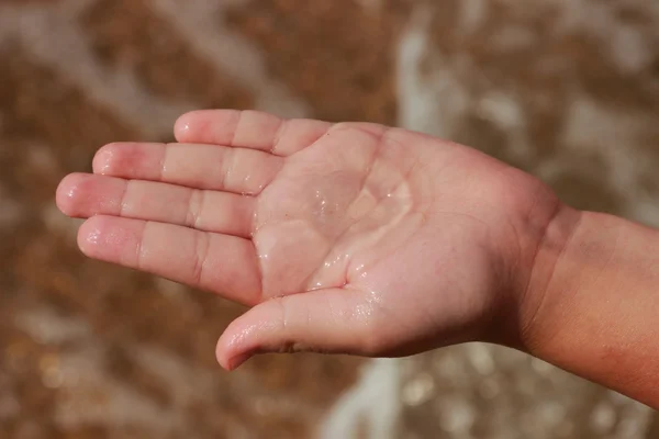 Aurelia Aurita Jellyfish Palm Close Outdoor — Stock Photo, Image