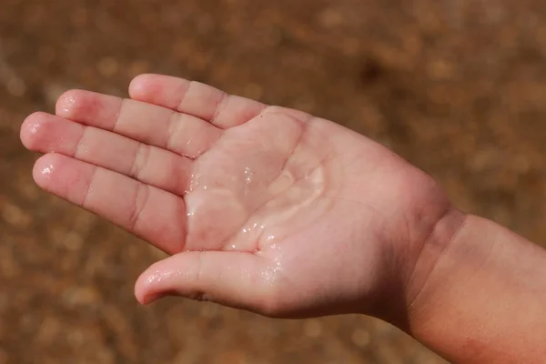 Jellyfish Palms Sand Background — Stock Photo, Image