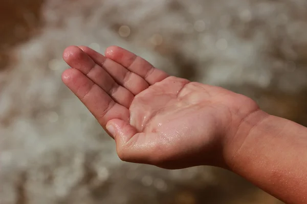 Jellyfish Palms Sand Background — Stock Photo, Image