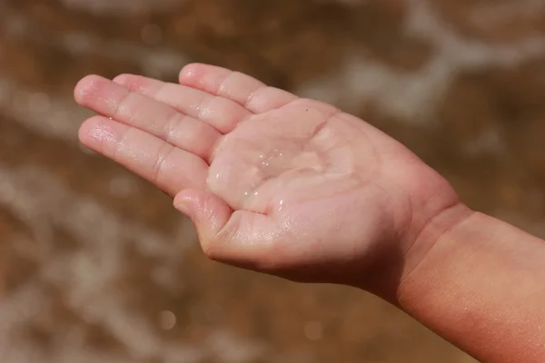 Jellyfish Palms Sand Background — Stock Photo, Image