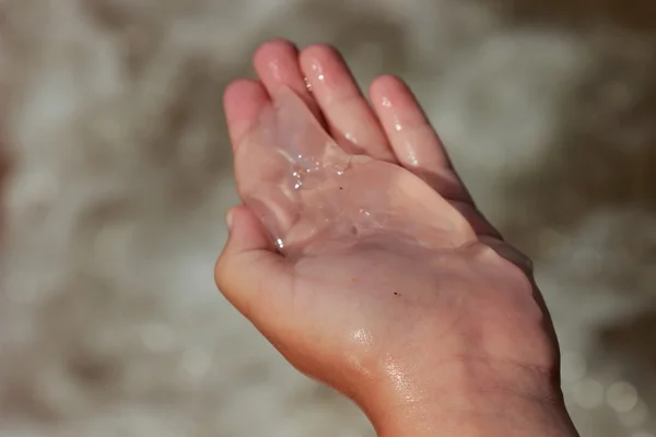 Медузы Ладонях Песчаном Фоне — стоковое фото