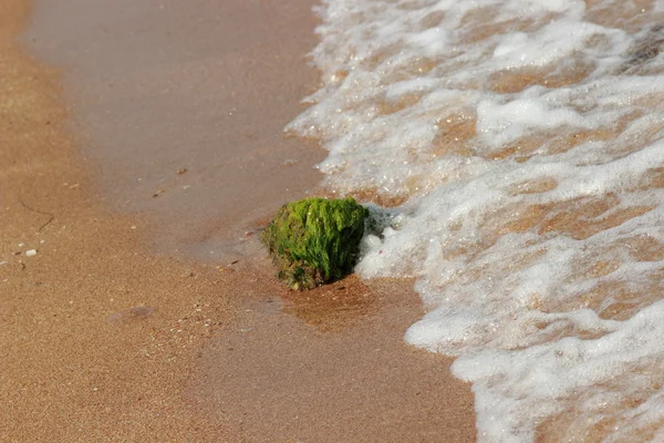 Kristallklares Wasser Strand Des Schwarzen Meeres Osten Der Krim — Stockfoto