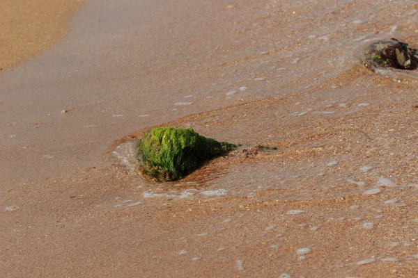 Kristallklares Wasser Strand Des Schwarzen Meeres Osten Der Krim — Stockfoto