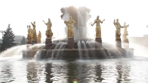 Fontein van de vriendschap van mensen, Moscow, Rusland — Stockvideo