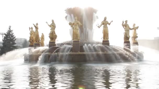사람들, 모스크바, 러시아의 친교의 분수 — 비디오