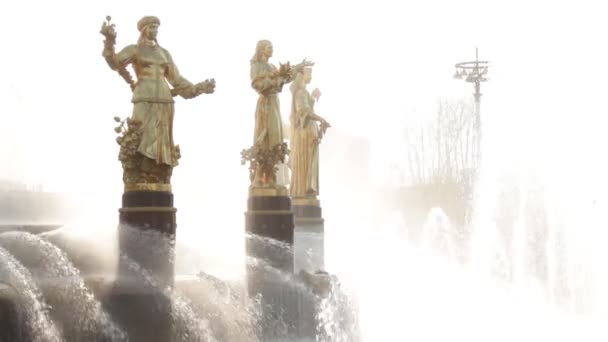 사람들, 모스크바, 러시아의 친교의 분수 — 비디오