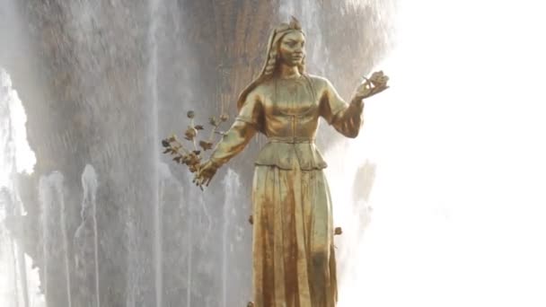 Brunnen der Völkerfreundschaft, Moskau, Russische Föderation — Stockvideo