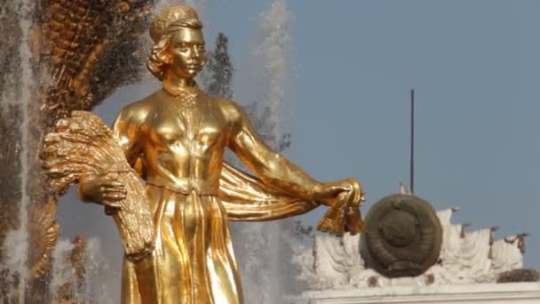 Brunnen der Völkerfreundschaft, Moskau, Russische Föderation — Stockvideo
