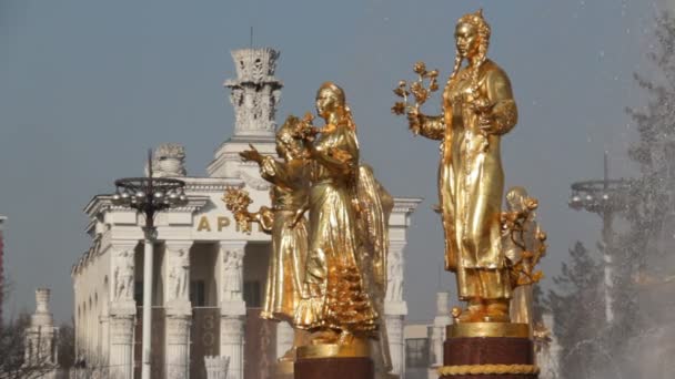 モスクワ、ロシア連邦の人々 の友情の泉 — ストック動画
