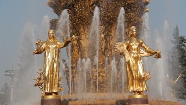 Fountain of Friendship of people, Moscow, Russian Federation — Stock Video