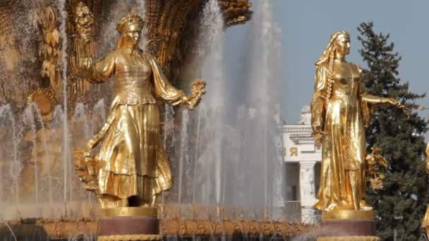 Fountain of Friendship of people, Moscow, Russian Federation — Stock Video