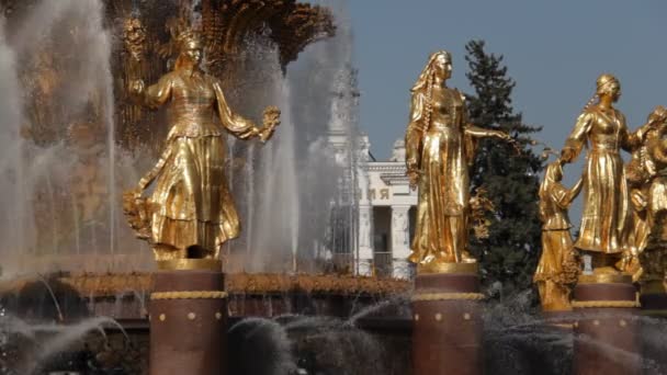 Fontaine de l'amitié du peuple, Moscou, Fédération de Russie — Video