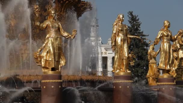 Brunnen der Völkerfreundschaft, Moskau, Russische Föderation — Stockvideo