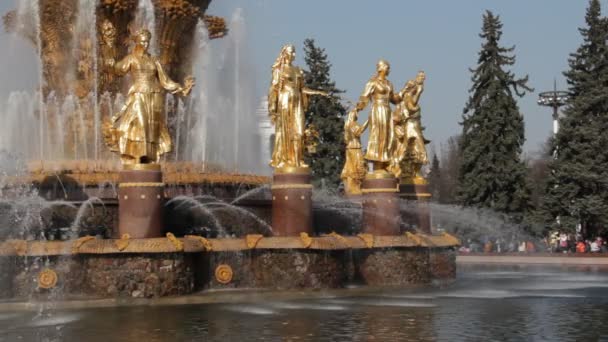 Fontana dell'amicizia delle persone, Mosca, Federazione Russa — Video Stock