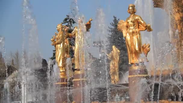 Brunnen der Völkerfreundschaft, Moskau, Russische Föderation — Stockvideo