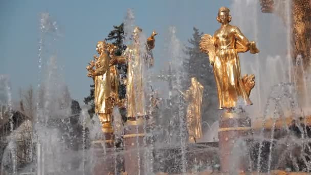 Brunnen der Völkerfreundschaft, Moskau, Russische Föderation — Stockvideo