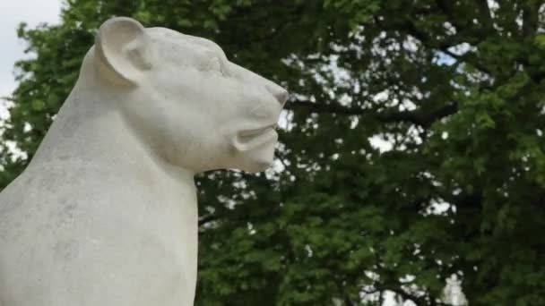 Estatua de León — Vídeo de stock