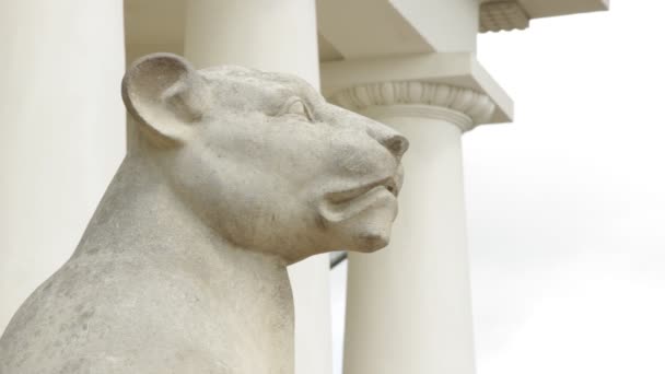 Estatua de León — Vídeo de stock