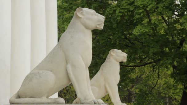 Статуя Льва — стоковое видео