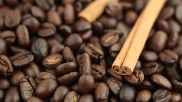 Coffee beans — Stock Video