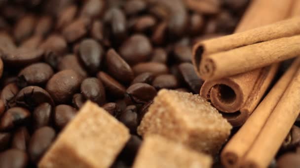 咖啡豆 — 图库视频影像