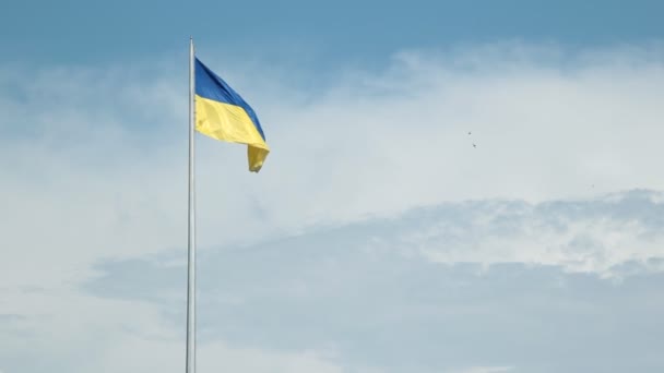Piazza dell'indipendenza (Maydan), Kiev, Ucraina — Video Stock