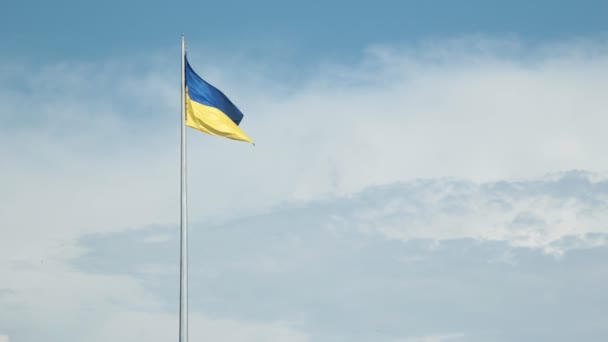 Πλατεία Ανεξαρτησίας (Maydan), Κίεβο, Ουκρανία — Αρχείο Βίντεο