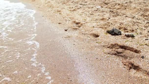 海砂纹理 — 图库视频影像
