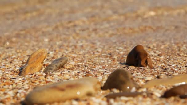 texture sable de mer 