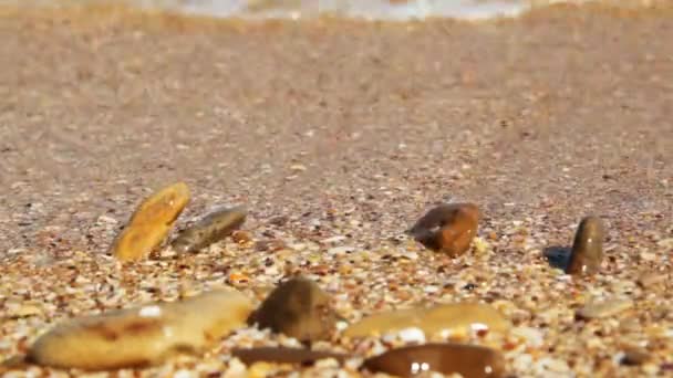 Текстура морского песка — стоковое видео