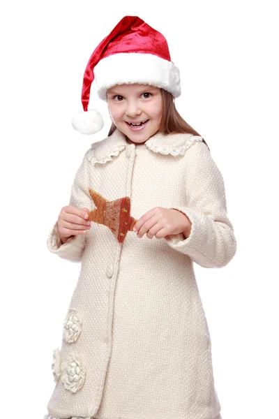 Retrato navideño de un niño lindo con sombrero de Santa Claus — Foto de Stock