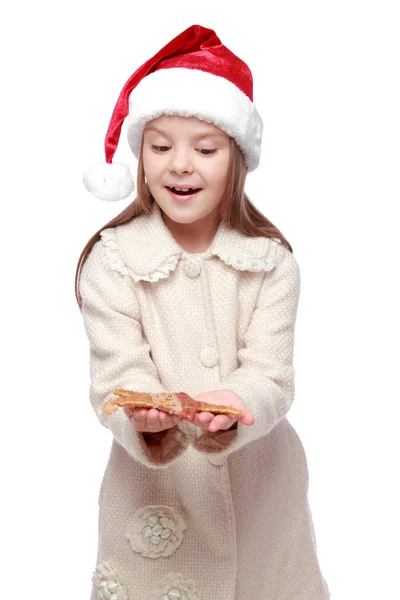 Retrato de Natal de uma criança bonita no chapéu de um Papai Noel — Fotografia de Stock