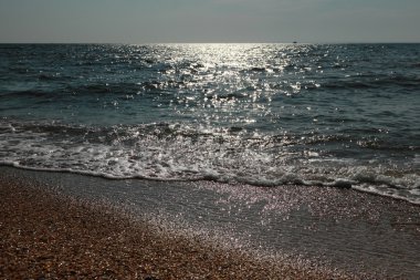 Deniz kum ve kabukları arka plan