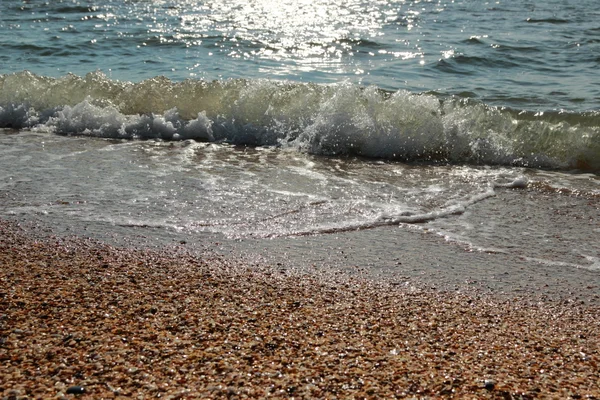 Bakgrund av sea sand och snäckor — Stockfoto