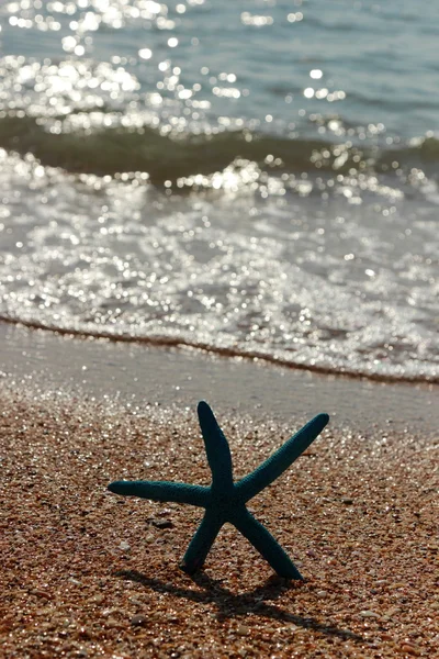 Background of sea sand and shells — Stock Photo, Image