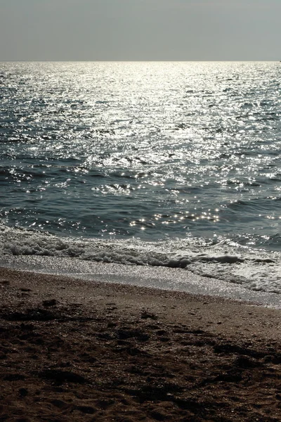 Background of sea sand and shells — Stock Photo, Image