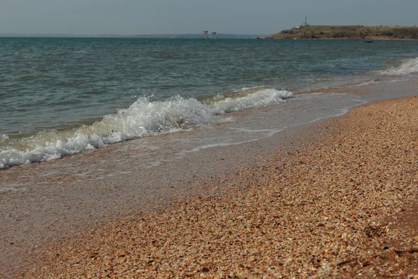 바다 모래와 조개의 배경 — 스톡 사진