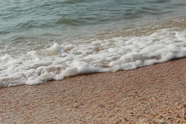 Sfondo di sabbia marina e conchiglie — Foto Stock