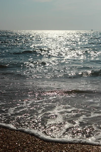 Background of sea sand and shells — Stock Photo, Image