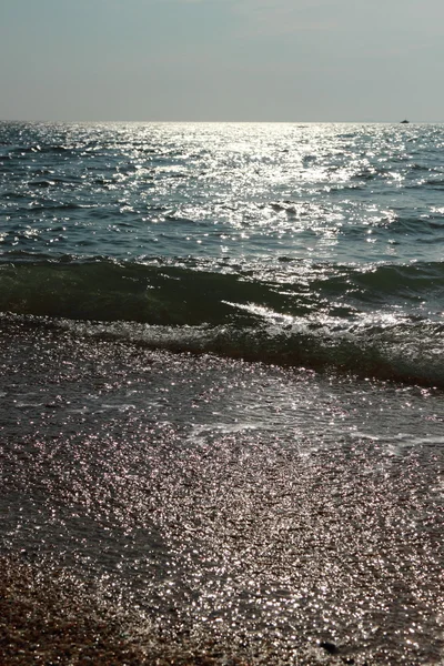 Background of sea sand and shells — Stock Photo, Image