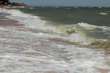Arka plan Karadeniz kum ve kabukları