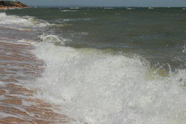 Arka plan Karadeniz kum ve kabukları