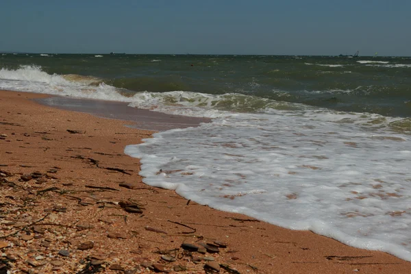 Tle Morza Czarnego piasku i muszle — Zdjęcie stockowe