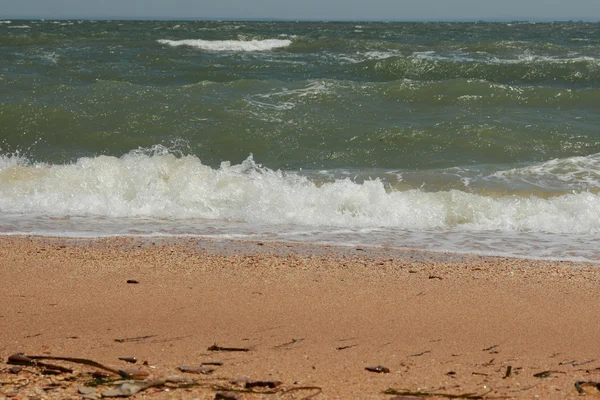 Background Black Sea Sand Shells — Stock Photo, Image
