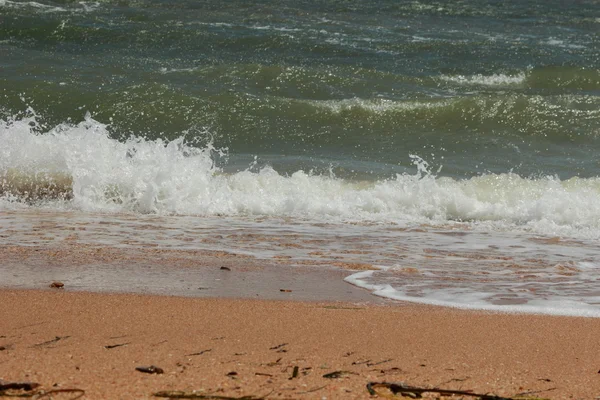 Fondo Arena Conchas Del Mar Negro —  Fotos de Stock